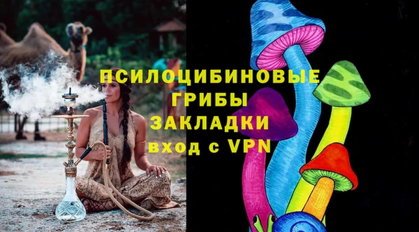 гидра Армянск