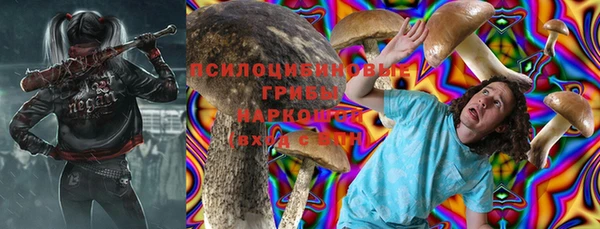 гидра Армянск