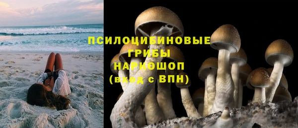 гидра Армянск